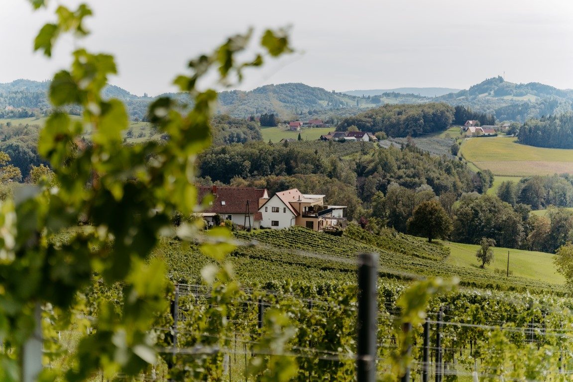 Weingut Perner