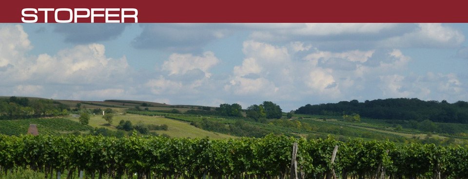 Weinhof Stopfer Impression